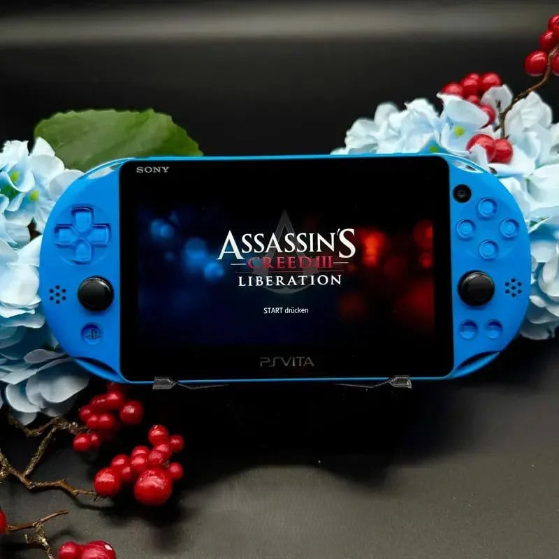 Modded Portable Consoles