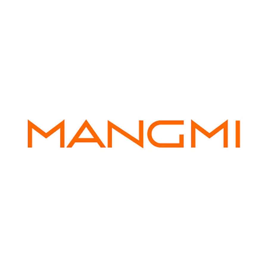 MANGMI logo in orange text on white background for memory cards.