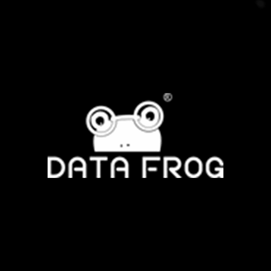 Data Frog logo with frog face and glasses for memory cards.
