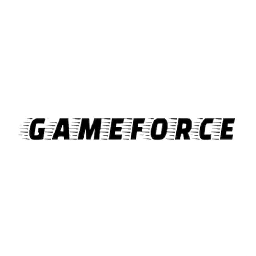 GameForce logo with dynamic font style for gaming memory cards.