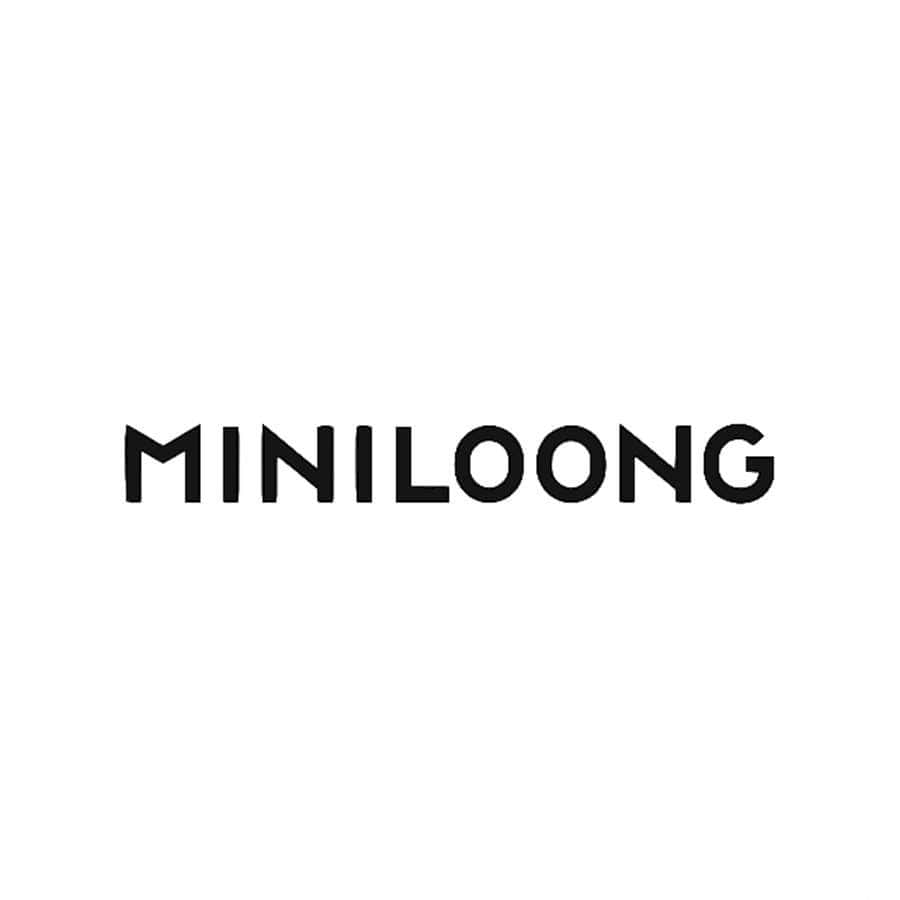 MINILOONG logo on a white background for memory cards.