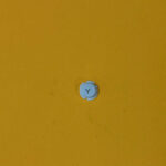White Y Button for Nintendo 3DS XL – Replacement Part